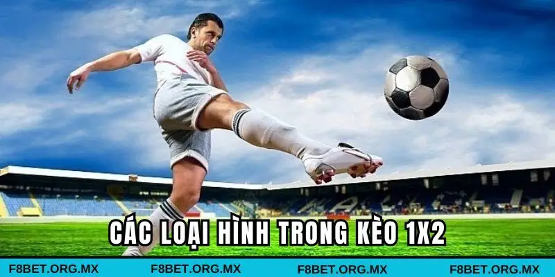 Tổng hợp các loại hình chơi hấp dẫn