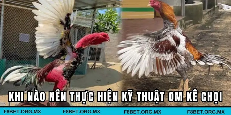 Khi nào nên thực hiện kỹ thuật om kê chọi