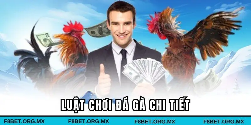 Luật chơi đá gà chi tiết