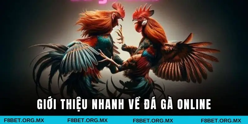 Giới thiệu nhanh về đá gà online 