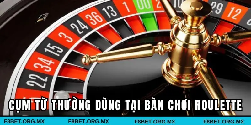 Những cụm từ thường dùng tại bàn chơi Roulette