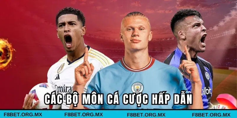 Các hình thức hấp dẫn hàng đầu tại sảnh thể thao