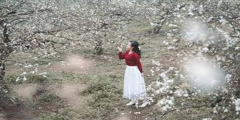 Mơ Đi Chơi Xuân - Ý Nghĩa Và Con Số Nên Thử Tại F8bet