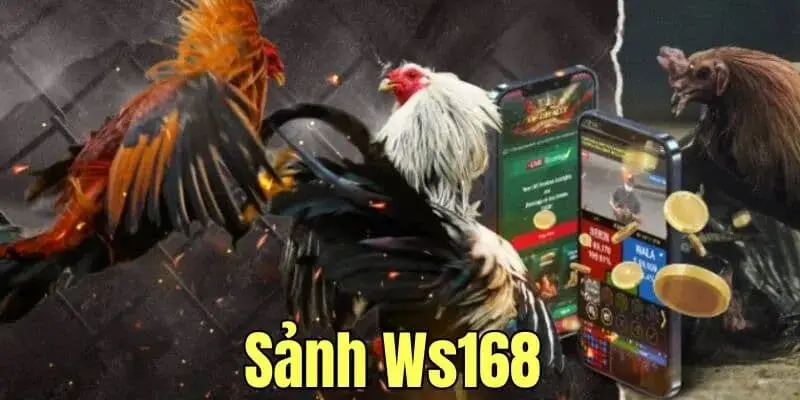 WS168 - Đồng minh chủ lực